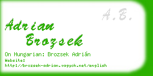 adrian brozsek business card